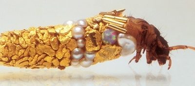 Fashion Bug: Caddisfly larvae jewelry