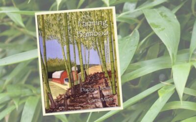 Bamboo Guru: Daphne Lewis