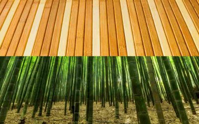 Grassy gadgets: Bamboo and design