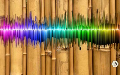 Bamboo beats: Speakers made from bamboo