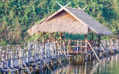 Disaster relief: Bamboo storm shelters