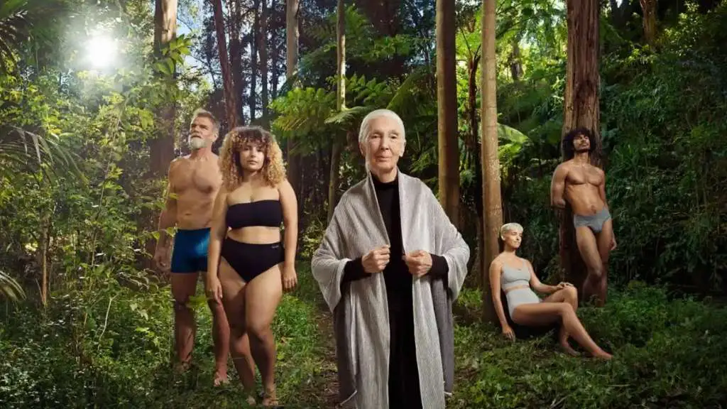 Jane Goodall endorses Boody bamboo