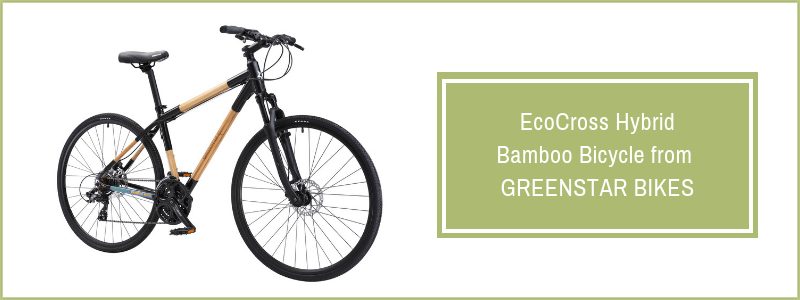 EcoCross Hybrid Bamboo Bicycle from Greenstar