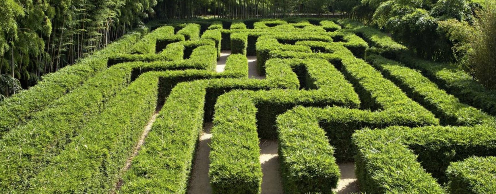 Bambouseraie bamboo garden labyrinth