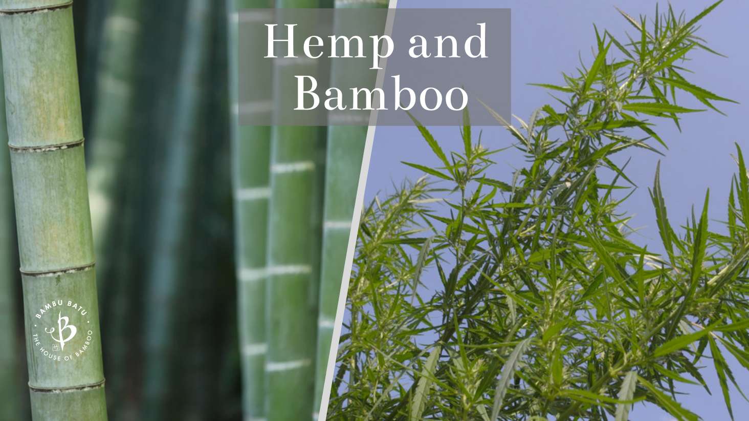 Hemp and Bamboo ultimate comparison