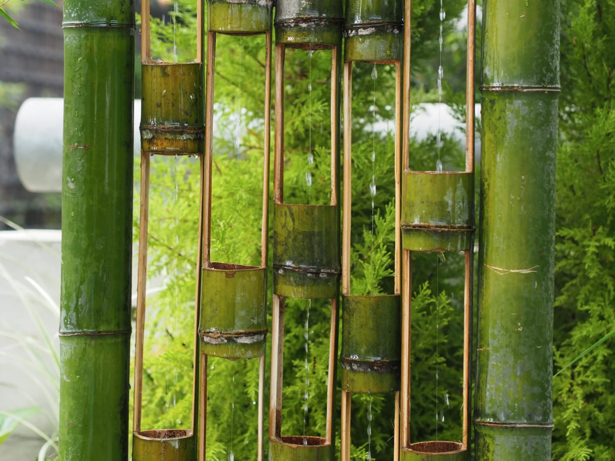 Hollow bamboo