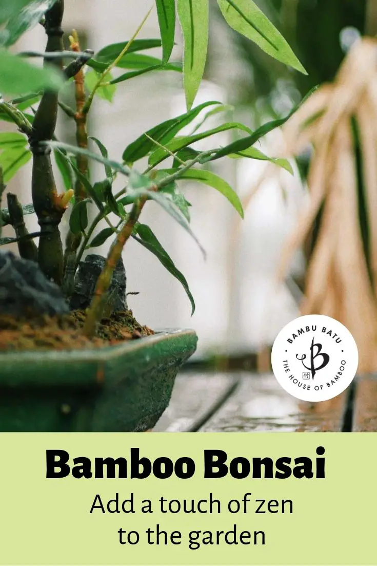 Bamboo bonsai pin