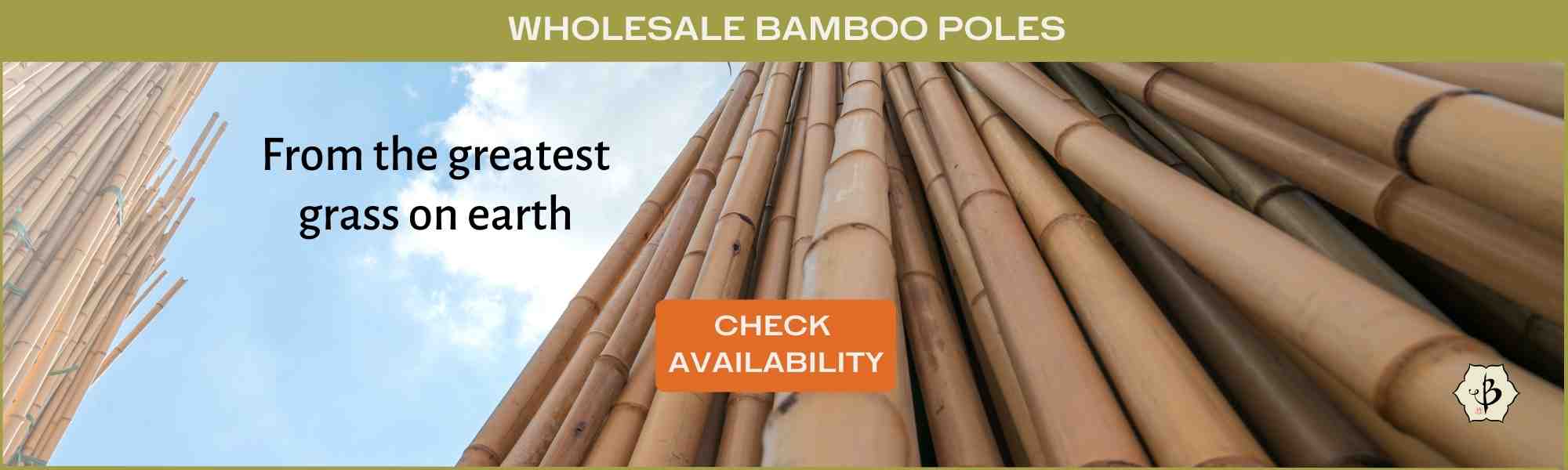 Wholesale bamboo poles banner