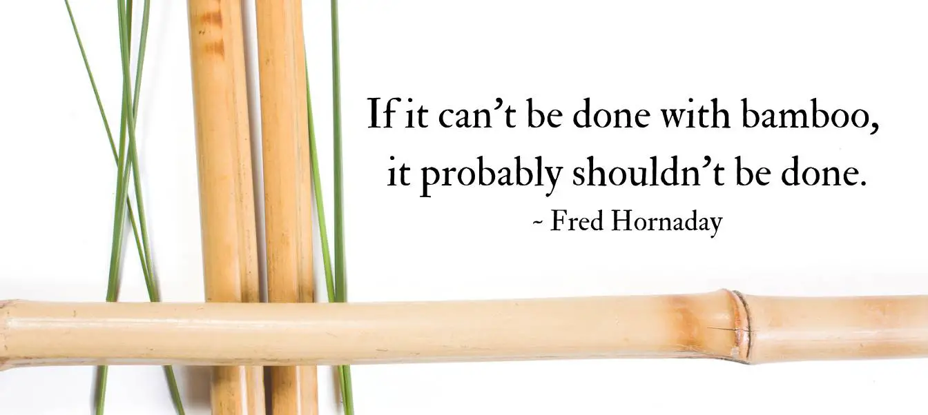 Hornaday Bamboo Proverb