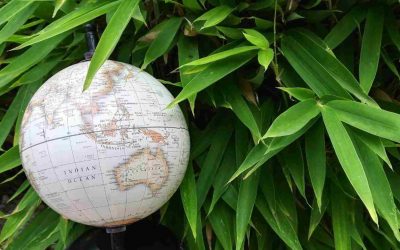 The Bamboo World Map