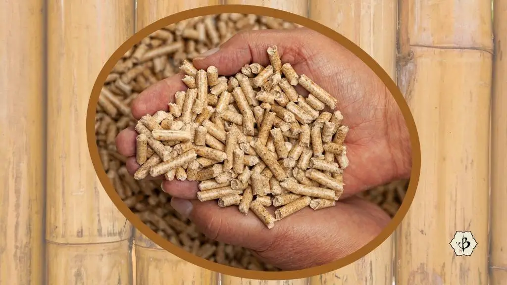 Bamboo pellets for energy