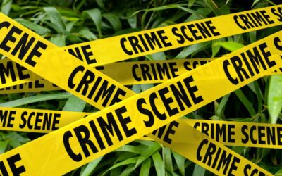 Regulating runners: Is bamboo illegal?