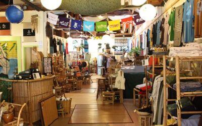 Bamboo product lines for eco-boutiques