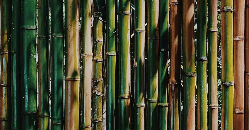 Several ways to treat bamboo for building Bambu Batu