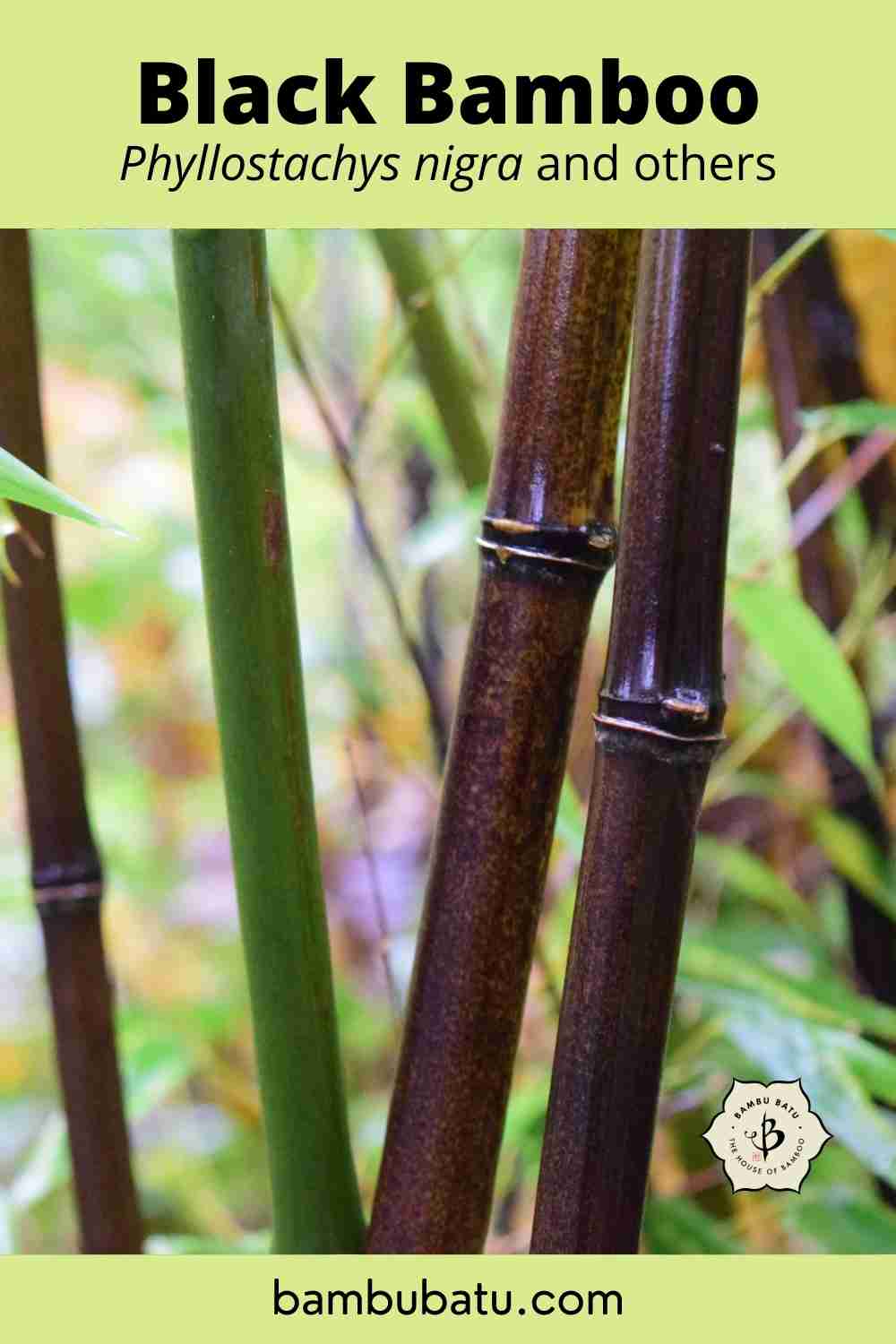 Black bamboo pin