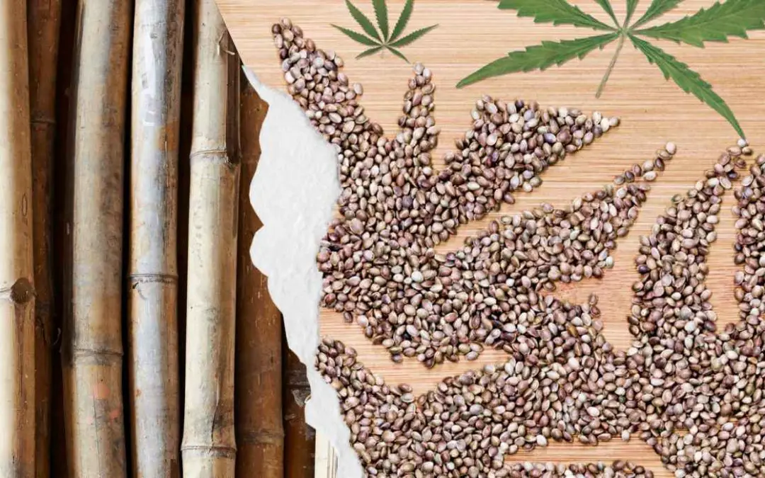 A History of Hemp and Bamboo in the State of Kentucky