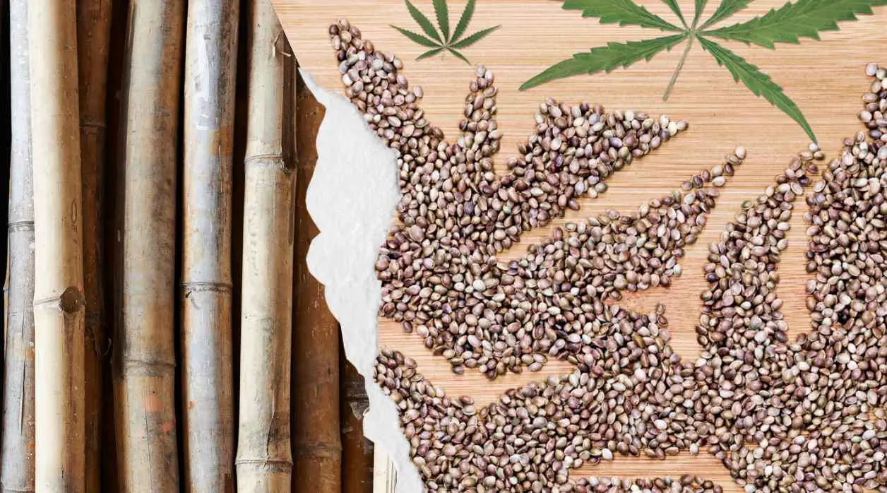 Hemp and Bamboo in Kentucky History