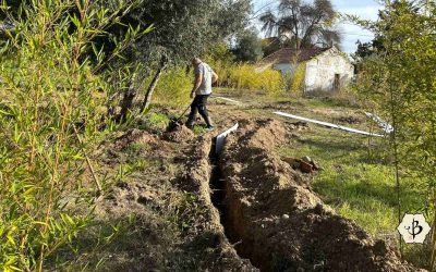 Dig a trench for a bamboo barrier