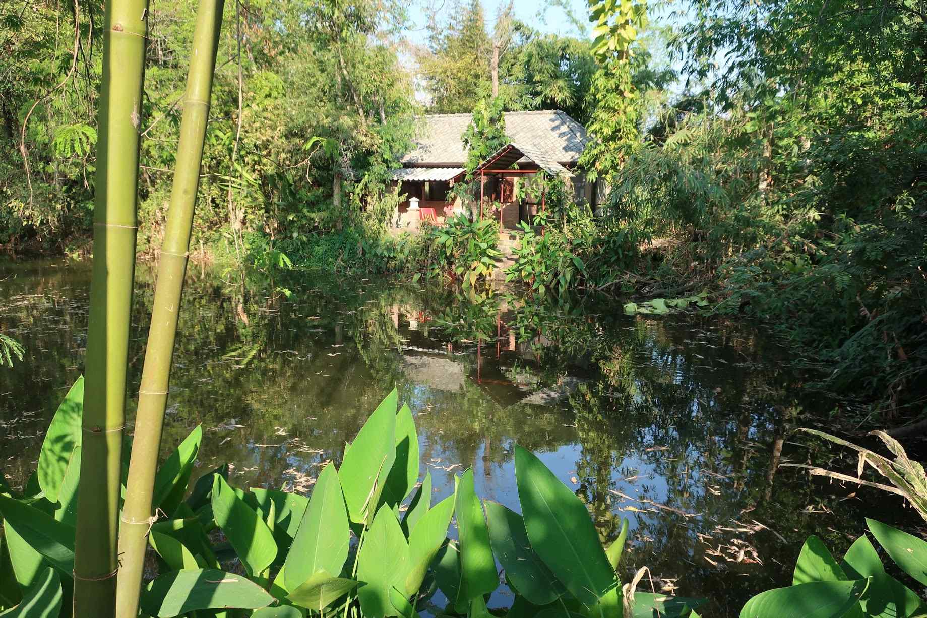 Lychee Lodge in Thailand