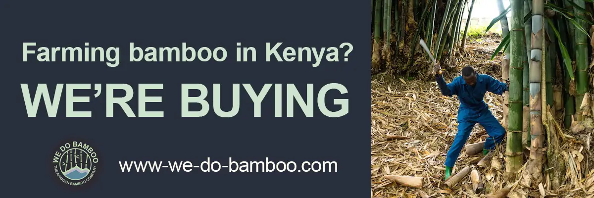 Buying bamboo banner