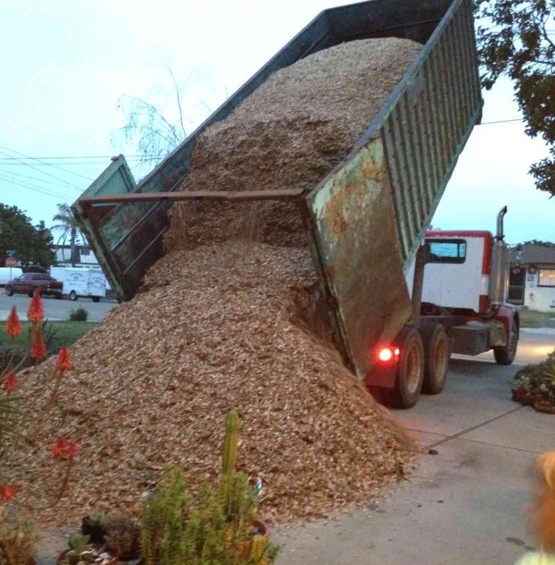 So much mulch