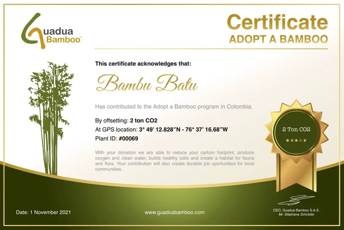 Adopt a Bamboo Certificate