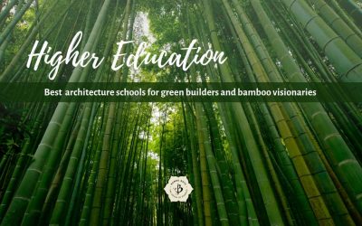 Best architecture schools for bamboo and sustainability