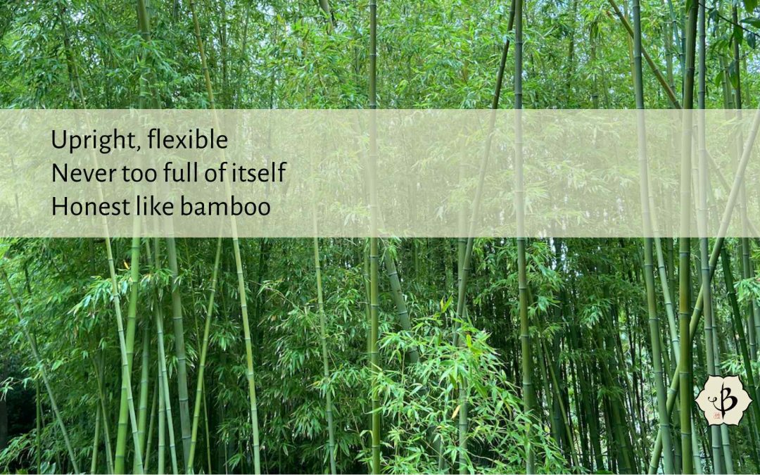 Bamboo Poetry: Haiku and other lyrical language