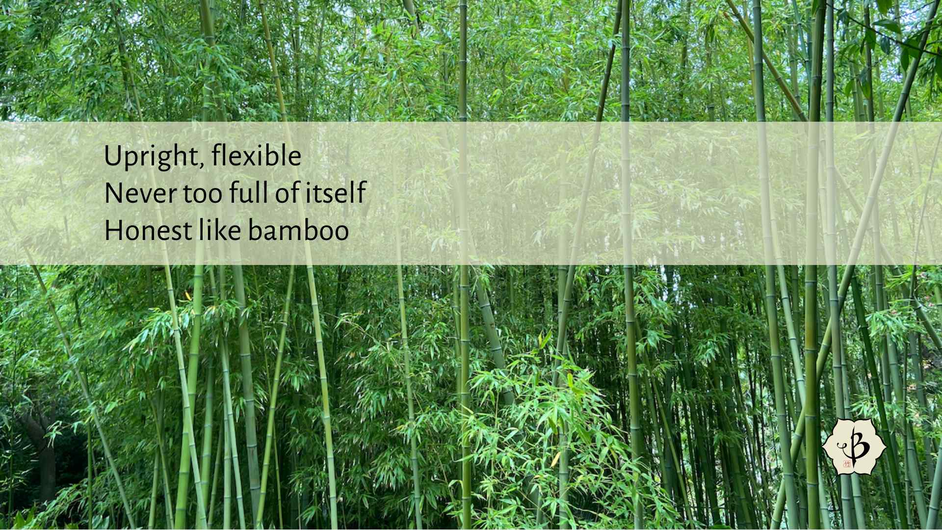 Bamboo Poetry Haiku Hornaday