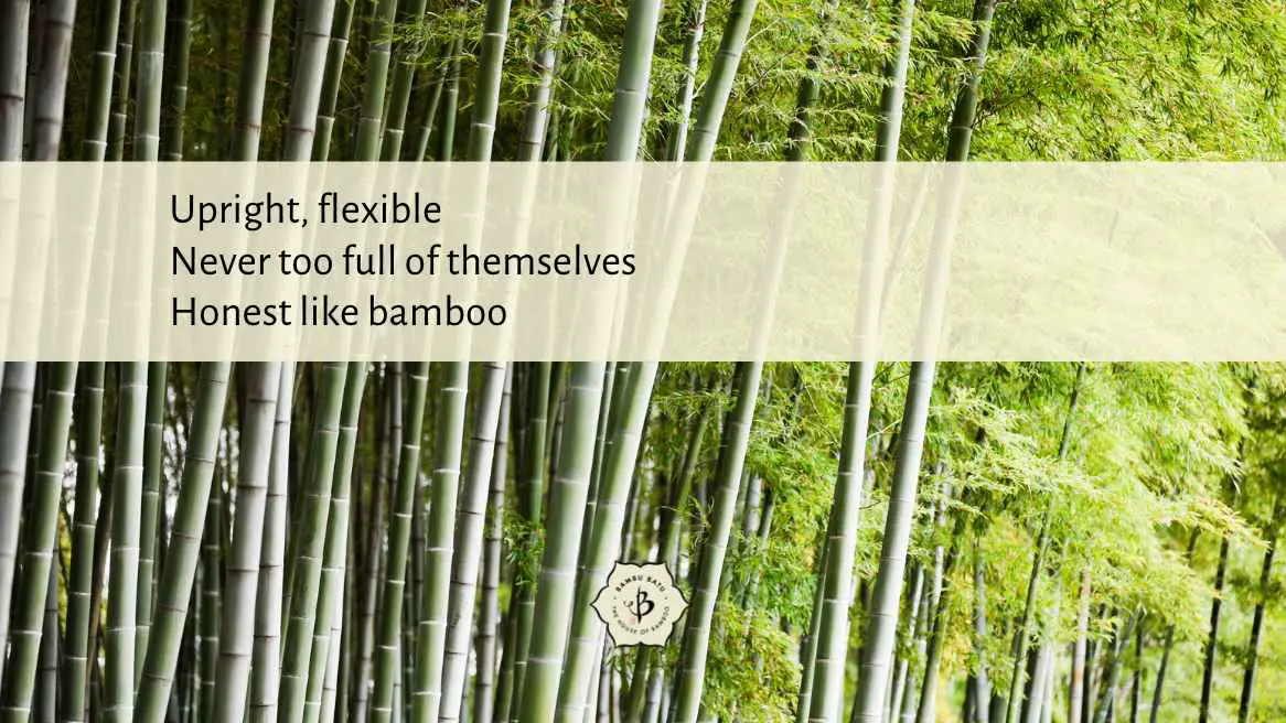 Bamboo poetry haiku integrity