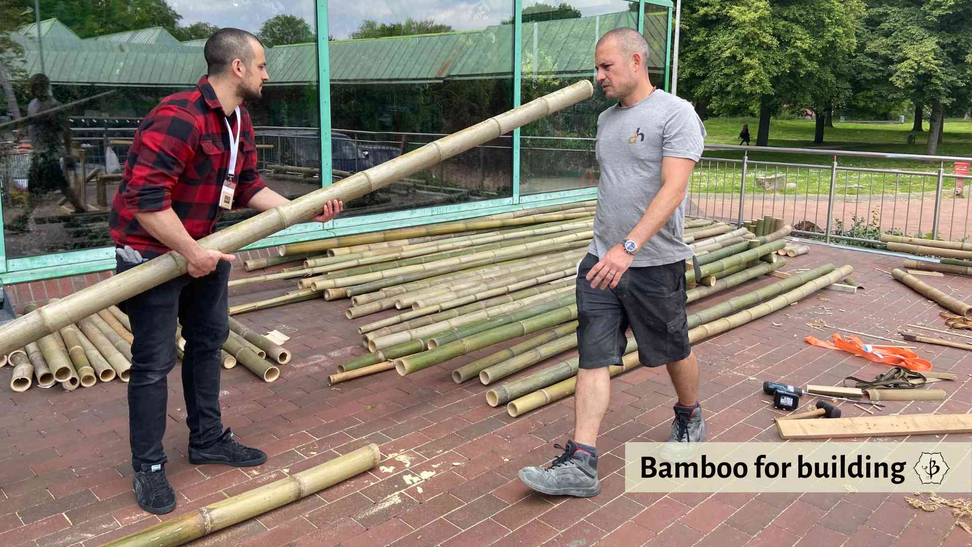 Bamboo poles for construction
