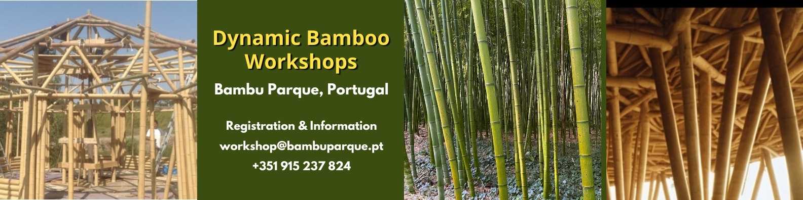 Bamboo School Workshop Banner