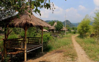 Bamboo for poverty mitigation in the developing world