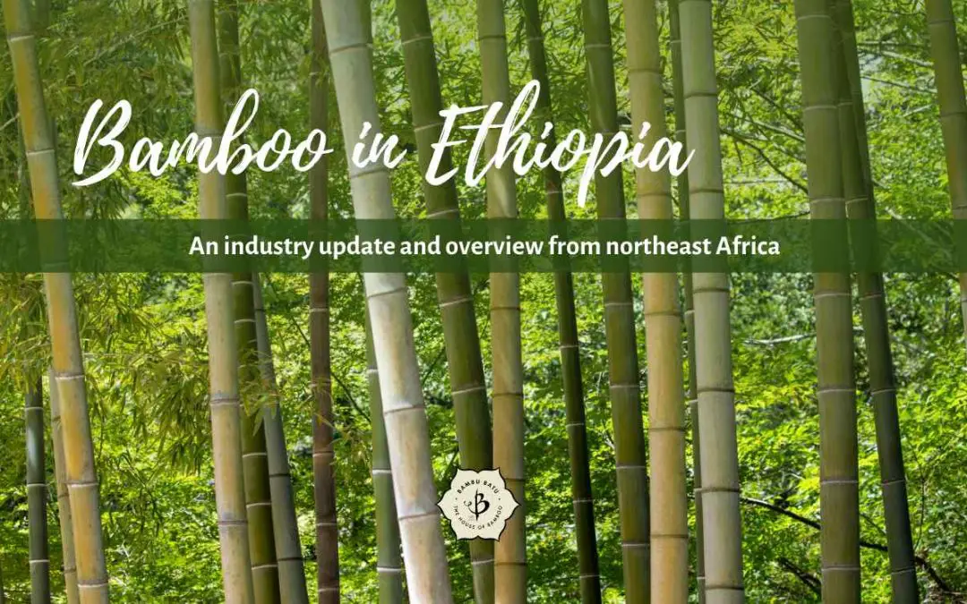 Status of the Bamboo Industry in Ethiopia