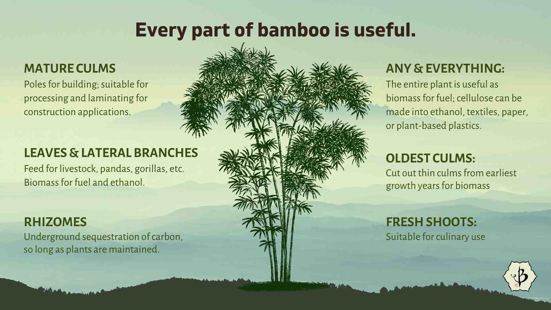 Bamboo uses infographic