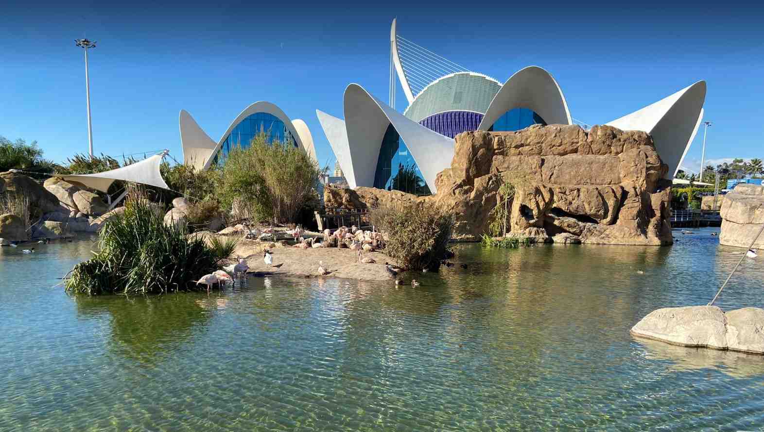 Oceanographic Museum Valencia