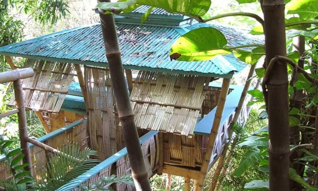 Bamboo Treehouses: Above and beyond