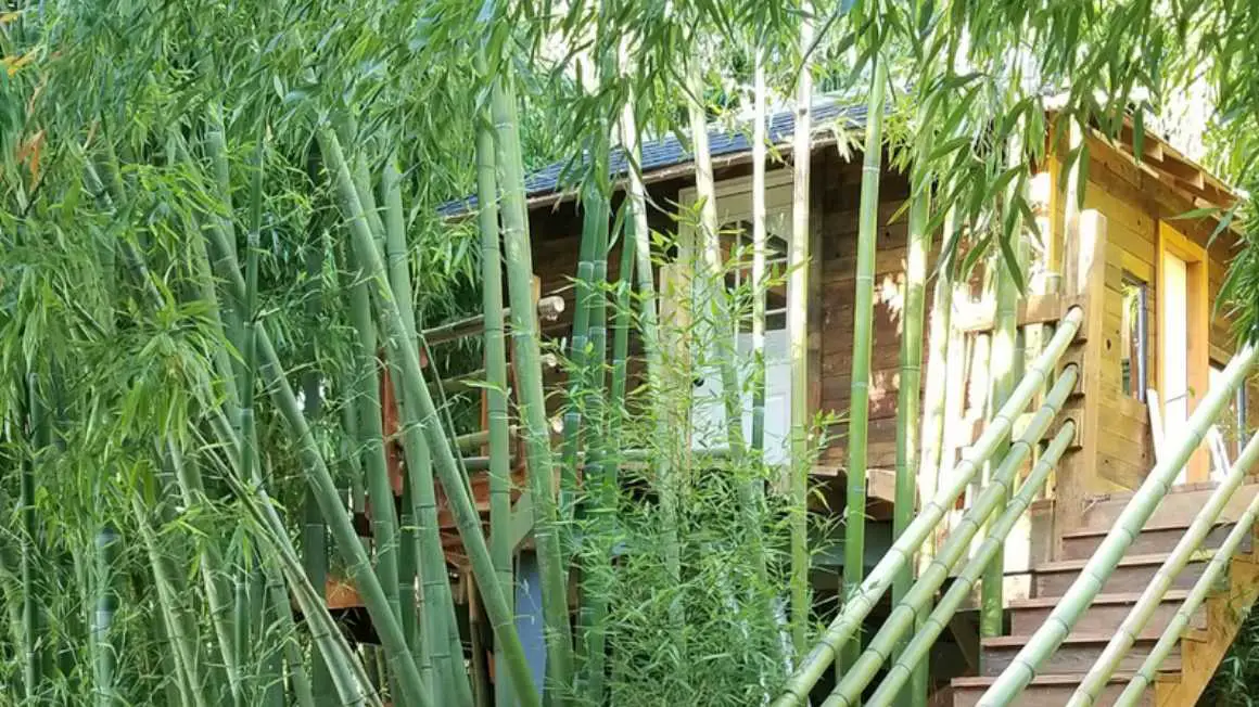 Treehouse in Bamboo Valley