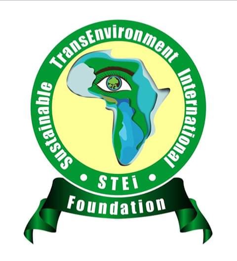 STEi Logo