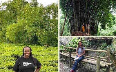 Women of the bamboo world in 2022