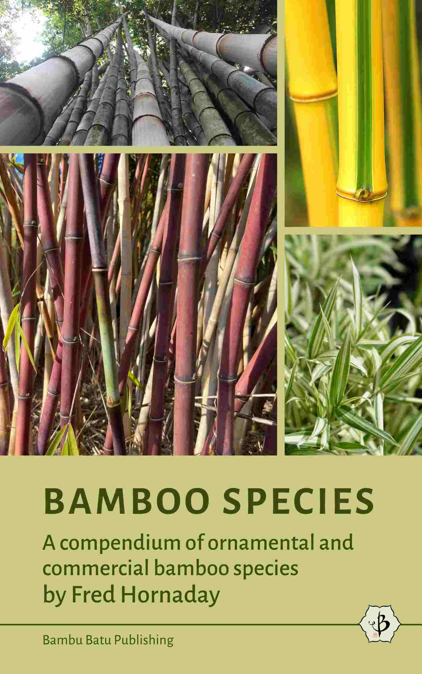 This Man Grows Golden Bamboo Along With 140+ Other Bamboo Species