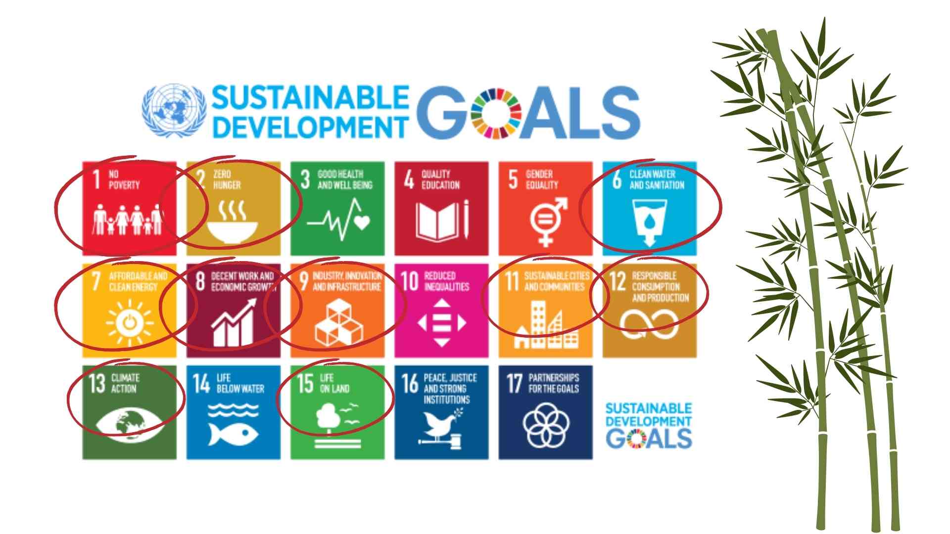 UN Sustainability Chart