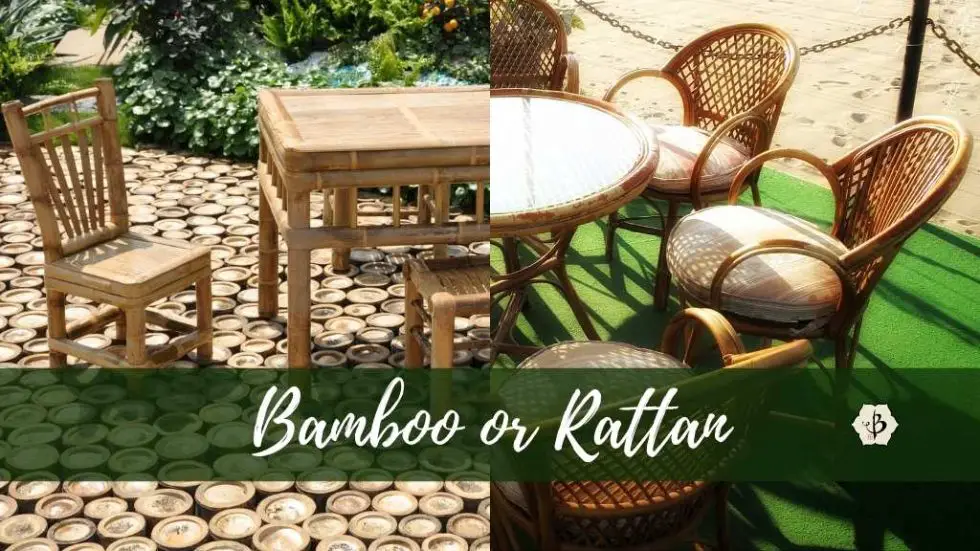 Bamboo and Rattan What's the difference? Bambu Batu