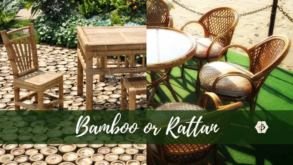 Bamboo and Rattan: What’s the difference?