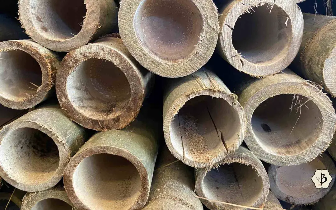 Hollow bamboo poles Asper