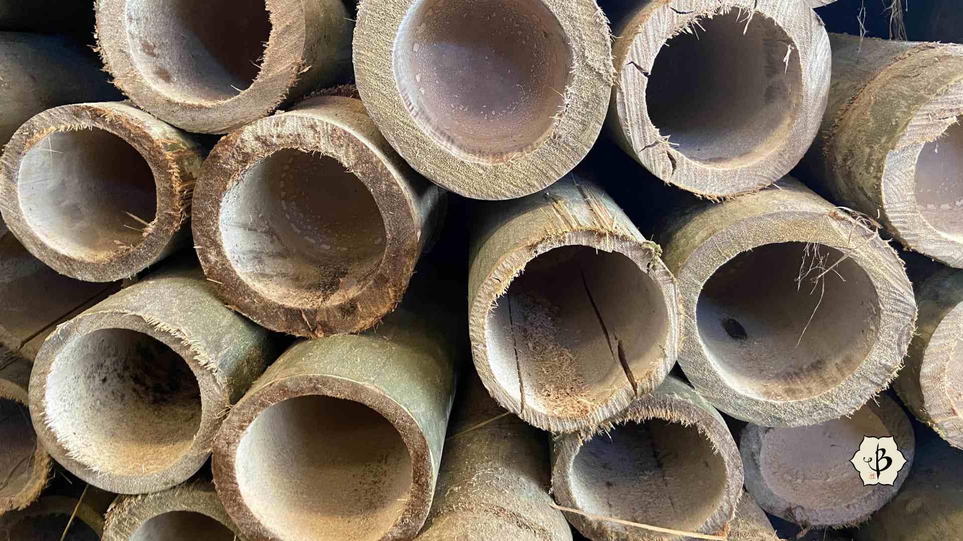 Hollow bamboo poles Asper