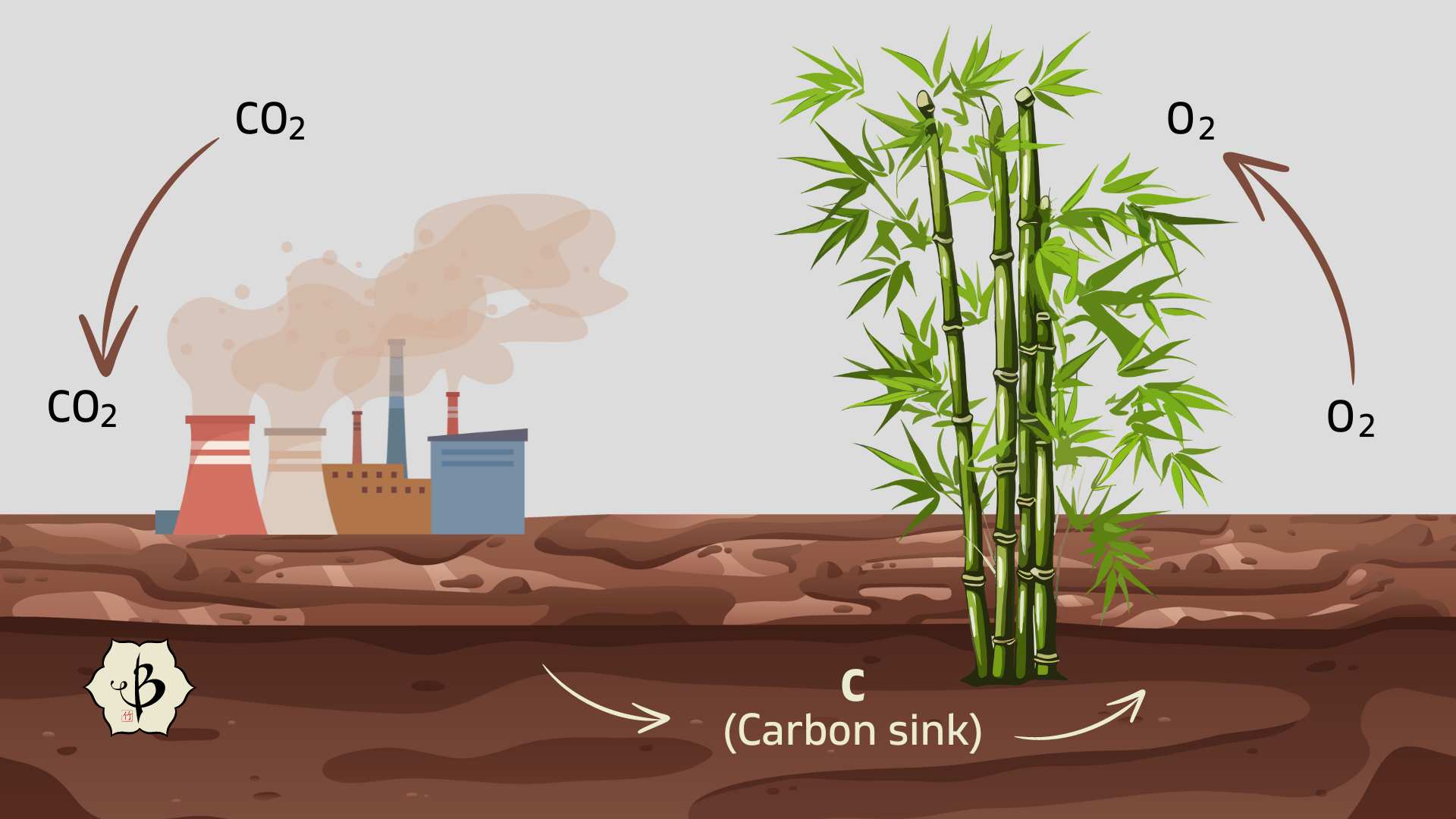 Carbon Cycle Bambu Batu infographic