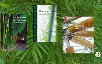 11 Best Books about Bamboo: For a Growing Library