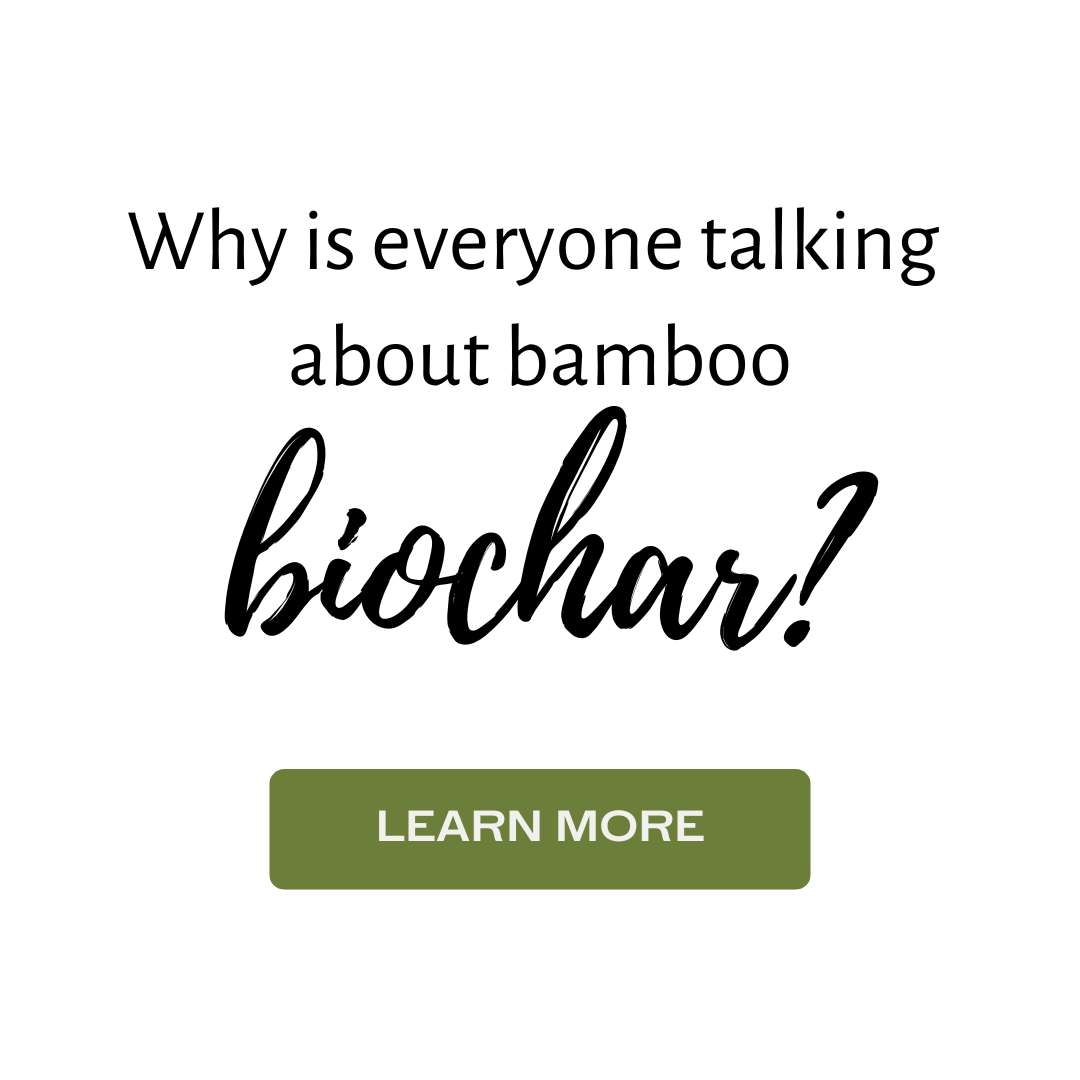 Bamboo sideline biochar