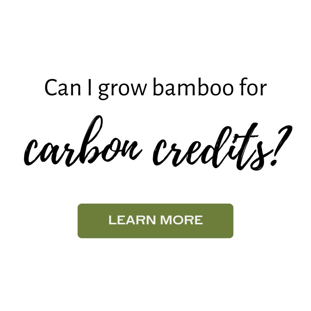 Bamboo sideline carbon credits